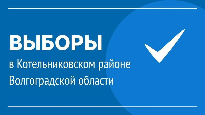 В Котельниковском районе пройдут местные выборы