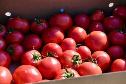 ������ � �������� �������� ���������� �������� ������������