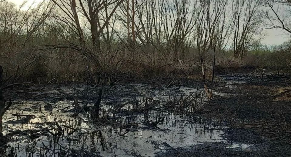 � ������������� ������� ��� ������� � �������� 167,3 �������� ������ �� ������ ��������������