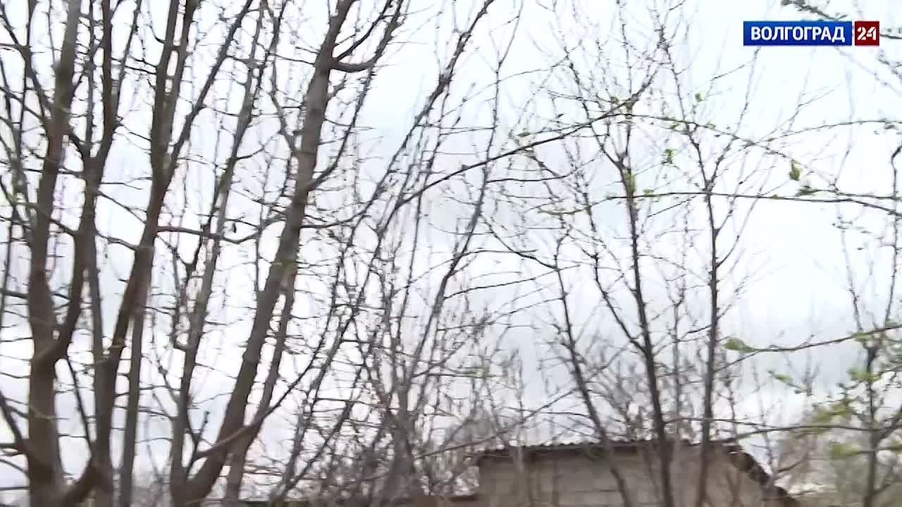 Без воды в жаркий сезон боятся остаться жители Береславки Волгоградской области