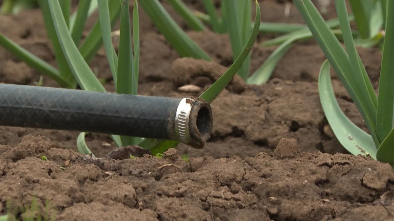 Без воды в жаркий сезон боятся остаться жители Береславки Волгоградской области Без воды в жаркий сезон боятся остаться жители Береславки Волгоградской области