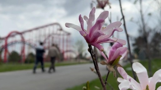 ���������� �������� ������� � ������������� �����