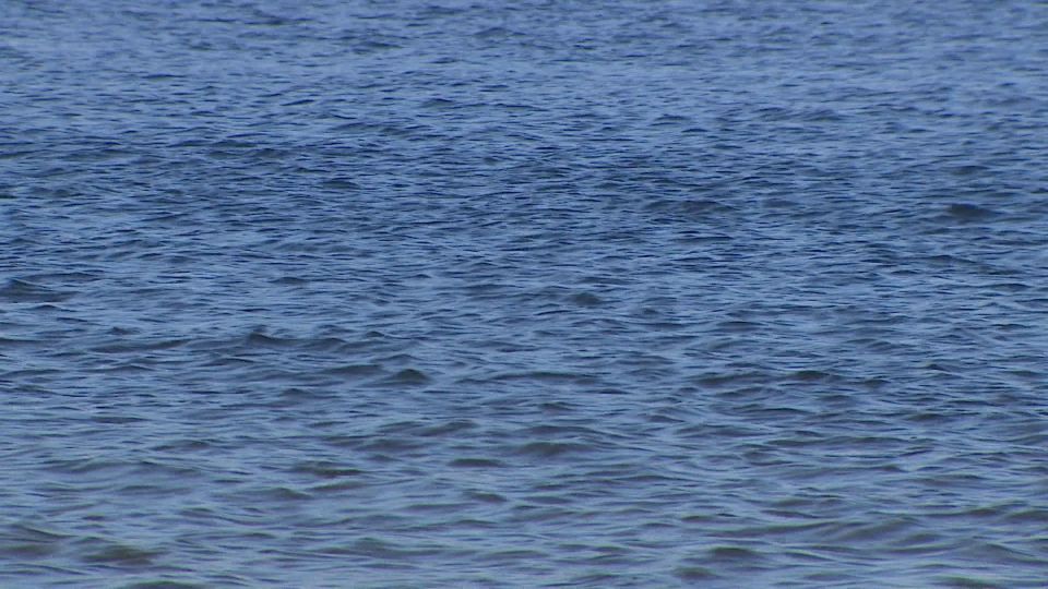 ����� ��������� � ��� �������-1� ������������ ������ � 16 ������