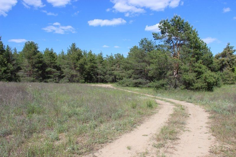 ����������� �������� ���� ���������� ������������� ������ ������ ������