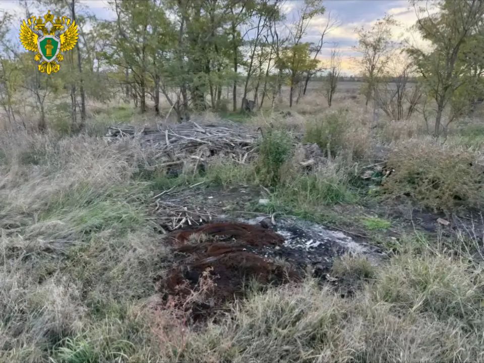 �� ���������� ����������� � ���������� ������ ������������� ������