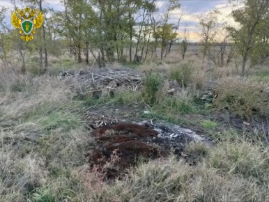 �� ���������� ����������� � ���������� ������ ������������� ������