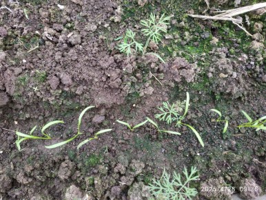 ������ ����� ��� ��������: ��� ������ ������ �� ����� ��������� � 2025 ����