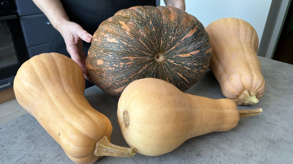 �����: ������� � �������� �������