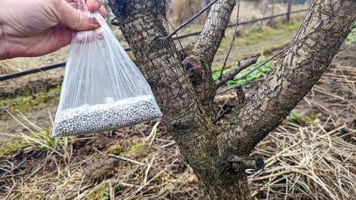 ��� ��������� ���������� ����� � �����: ������ ��� ������� ������ ����� ����