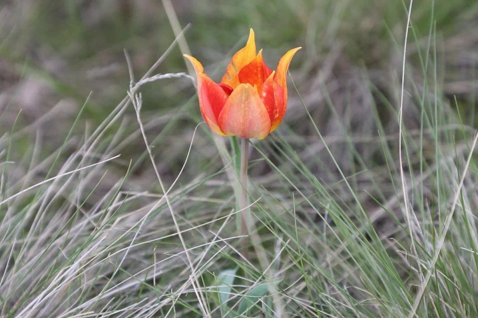 � ������������� ������� �������� ����� �������� ������ �����������, � ��������� ������� ��������� �������� ������ �������������� ����� ���������� ��������� ����������