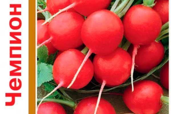 ��� ��������� ����� �������: ������� � ����������� �����