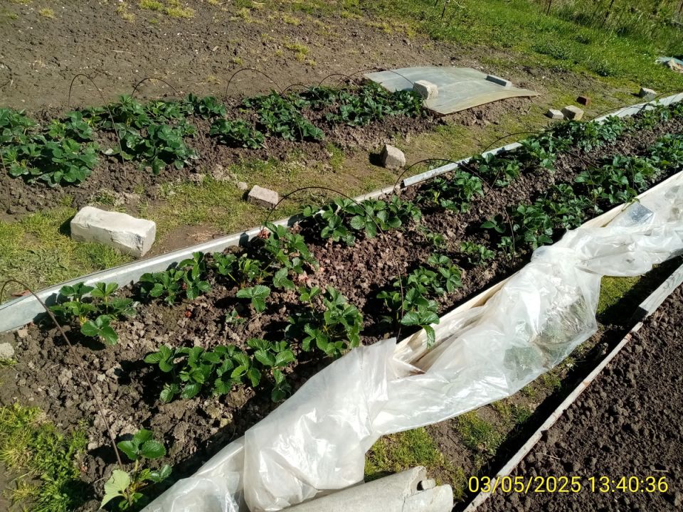 ��� ������� ������ ������������� ��������� ������ � �������: ������� ������ �� ����� ��������