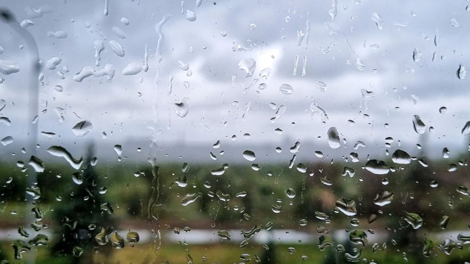 ����� � ������� ����������� �� ������������� �������