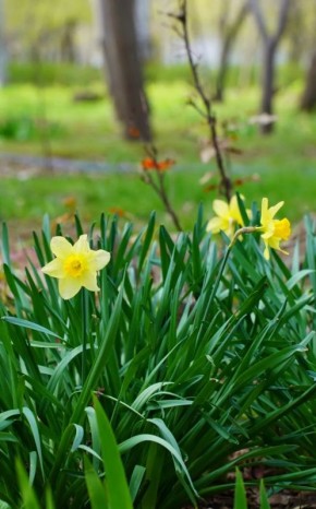 ��������� �������� ���� � ����� ����������������