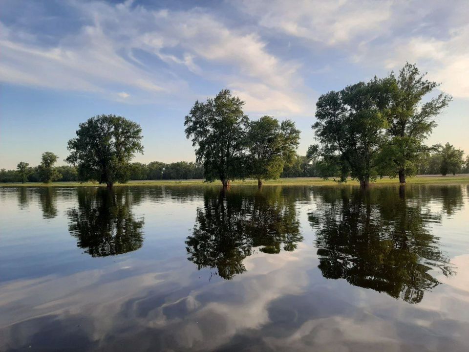 ������� �������� ������ �� ������������ �����-����������� ����� � ��������� ���