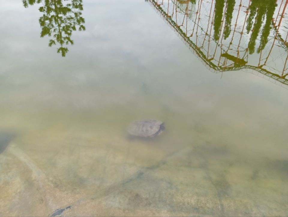 ��������� ����� ����������� ����� ���������������� �� ���������� ������������� �������