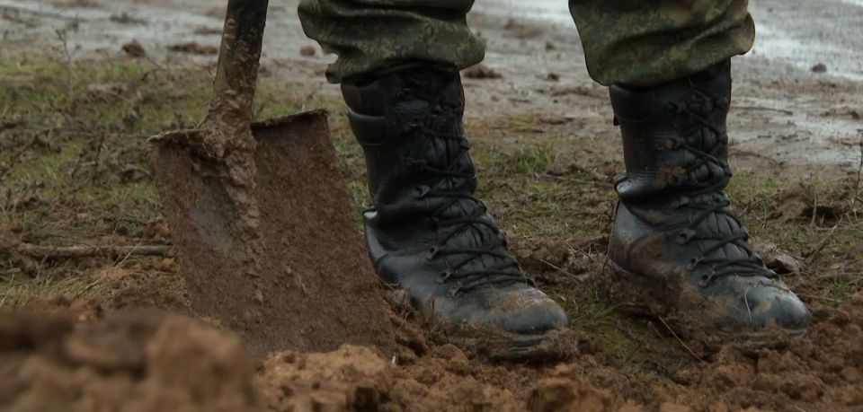 ��������� ���������� �������� ����� � 2026� ������� � ������������� ������ � 25 ������ �� 7 ���