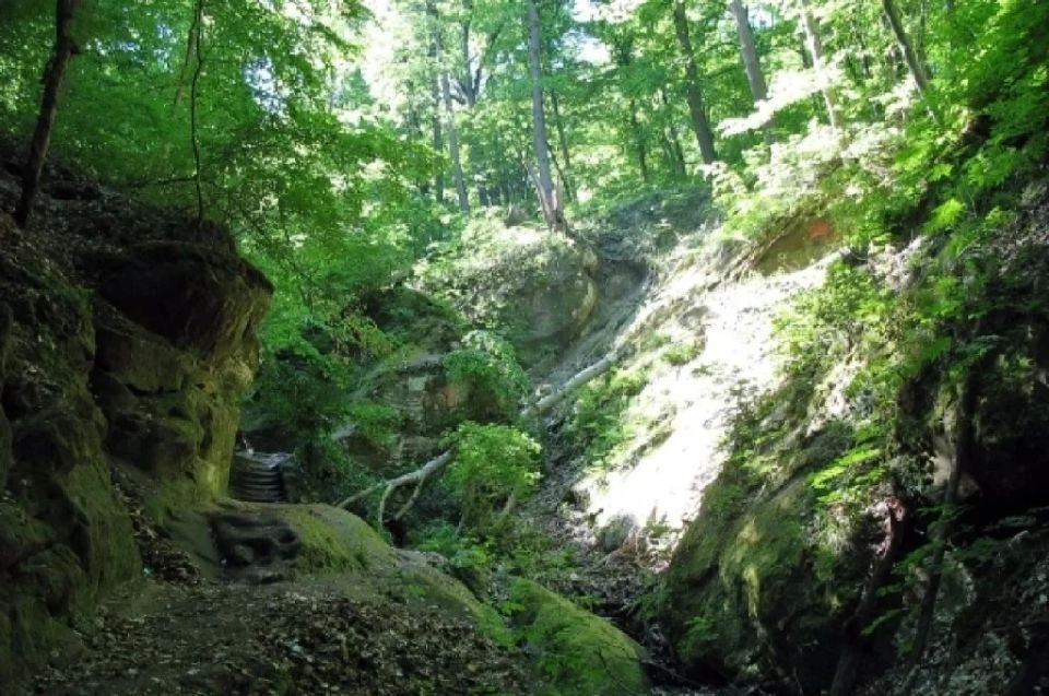 ������ �����, ����� ��� � ������������� ��� � ��� � ����������� ������ � �������� ������