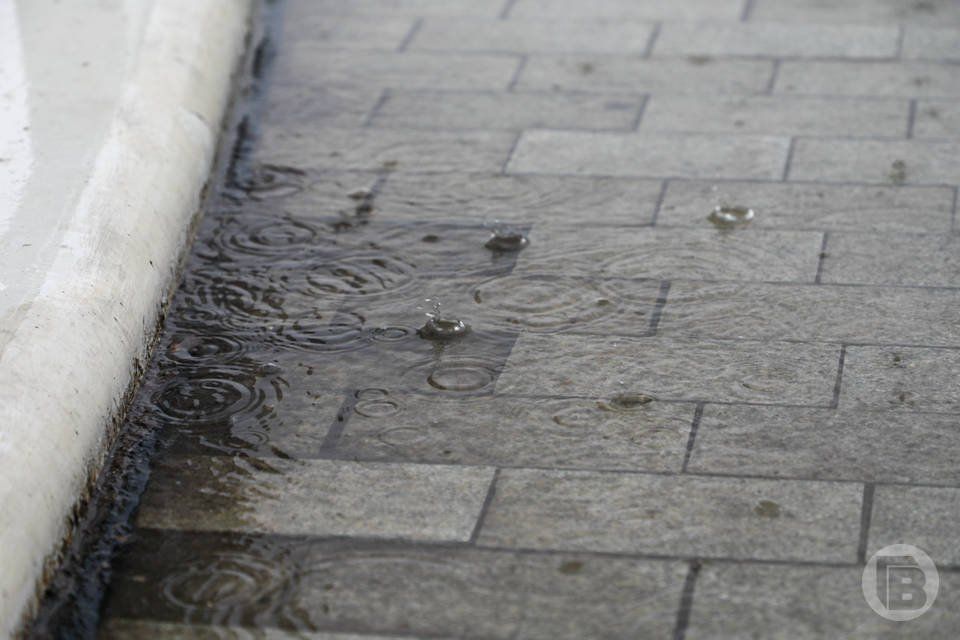 ����� ������� � ���������� �� ����� ������