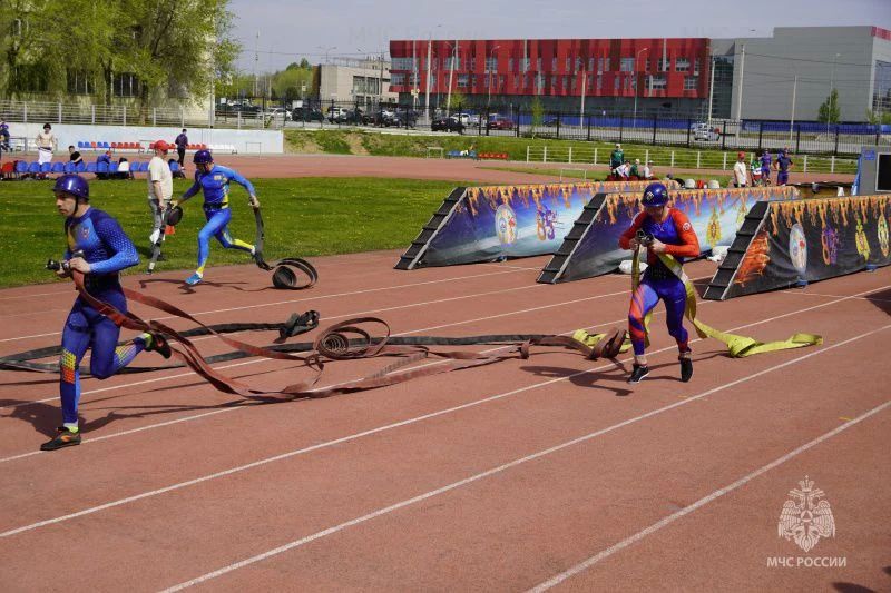 ������������ ����������. ������� ����������� ���� ������ �����������