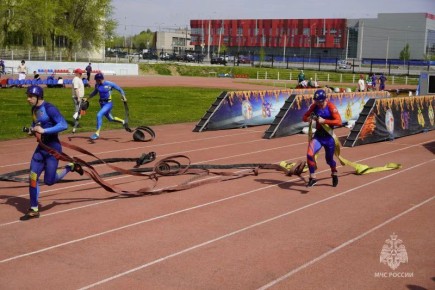 ������������ ����������. ������� ����������� ���� ������ �����������