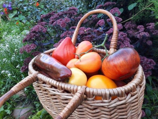 �������� � ����: ���� �� ����� �������� � ��� ������������� � ����