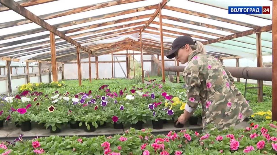 � �������� ������������� ������� �������� ��� �������� �������� ������