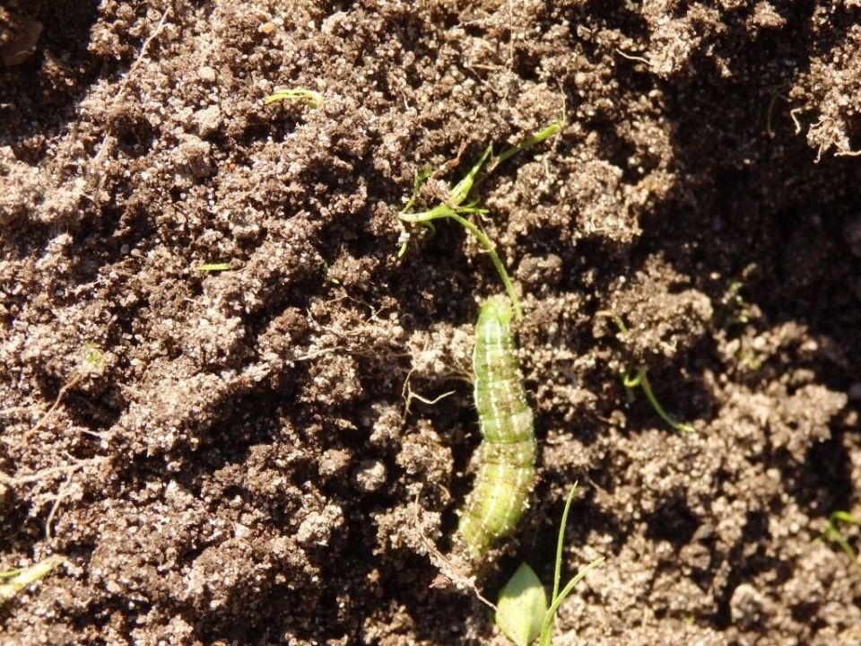 ��� ���������� � ����������� � �������: ������ �� ������ � ������