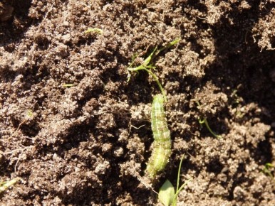 ��� ���������� � ����������� � �������: ������ �� ������ � ������