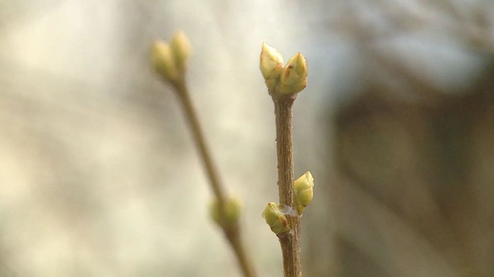 � ���������� �� -3 � ������������� ������� ������������� ����