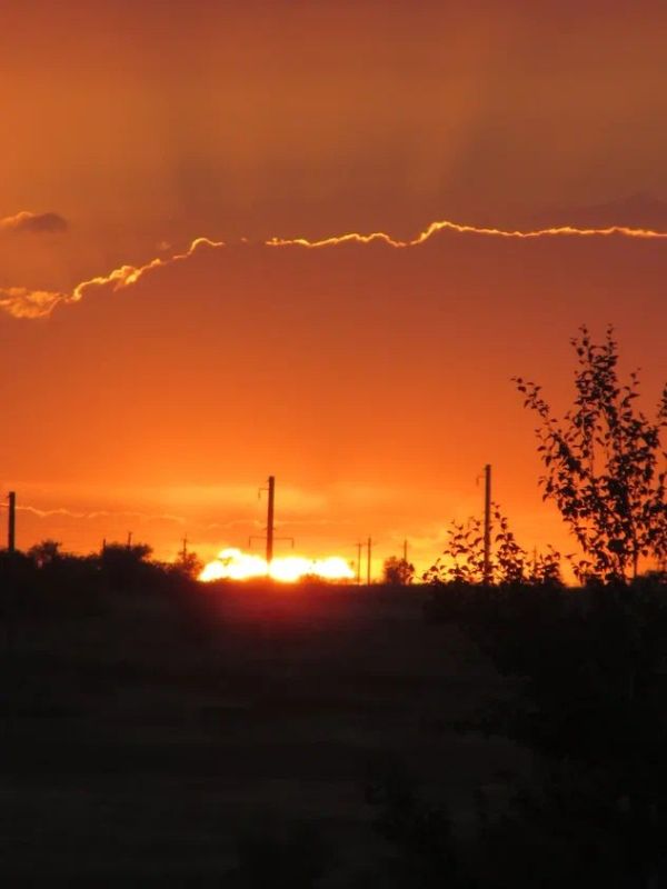 23 ������ �� ��������� ��������� ���������� ���� �������� ���������