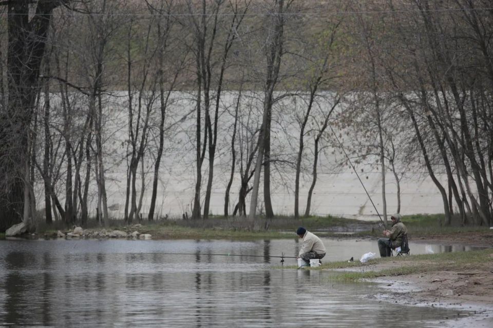 ������� ���������� ��� ������ �� ������������� ������� ������������� ������� ������� � ������ �����������