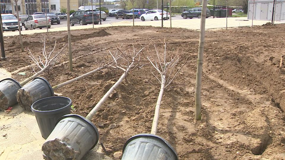 ������������ ����� ���������� � ����� ������-�������� � ����������