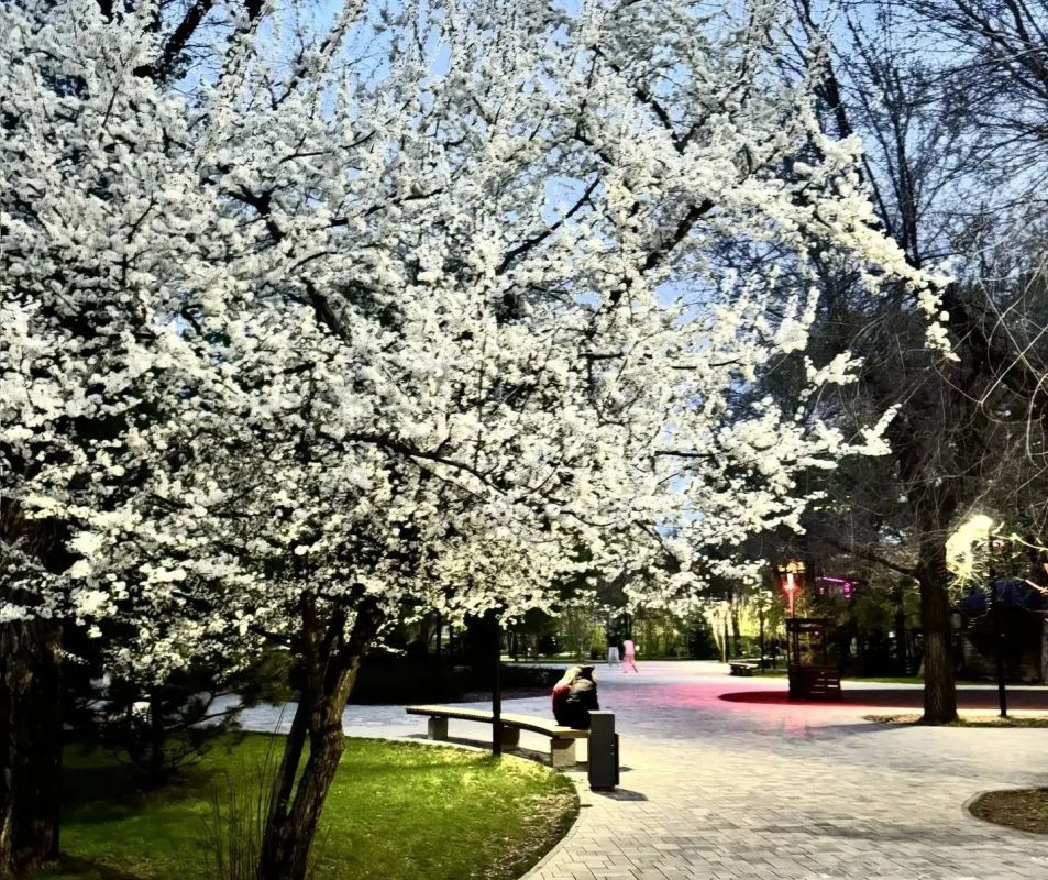 ����-�� ����� ���� ��������� �����: ����� �������� �� ��������� 5 ��� ������ ��� ������� ������������ ���� � ���������