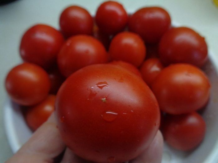 ����� �����: ��������� ����������� �� ������������� ����� ��� �������