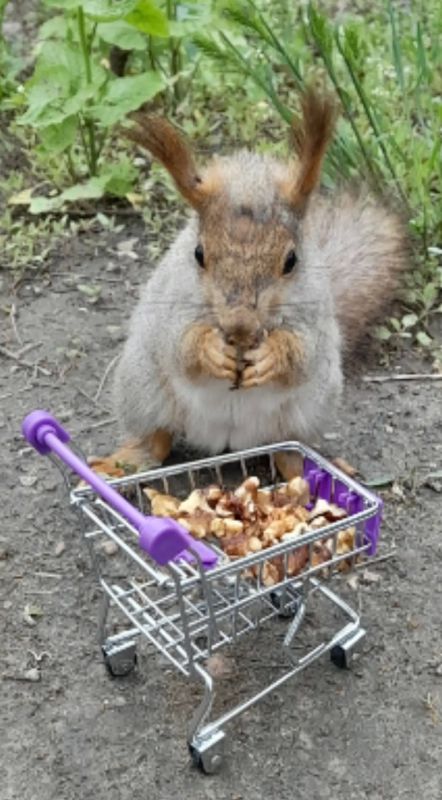 ������� ������� �������� ��� ������� �� �������� ������� �����������