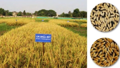 ����� ����� ���� �������� ��������� �������� �������������� � ������������� �������