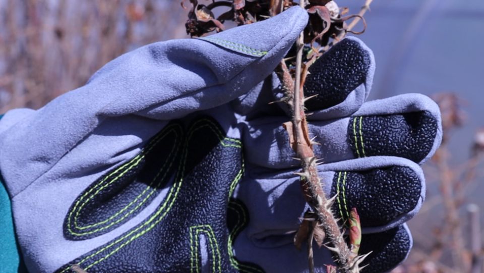 ��������� ���: ������� ��������� ����� ��� ������� ��������