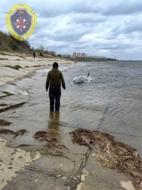 � ���������� ������������� �����, �������� �������� �� ������