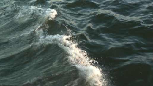 ���� ������ �� ��������� ������� ����� �� ������ ����� � ������������� �������