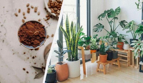 ����������� ������� �������� ����: ��� ��������� ������������ � � ����