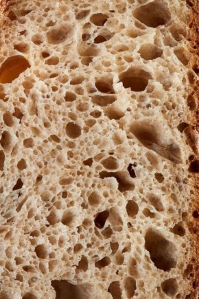 ������: ������ ���� ��� ����� ���� ���?