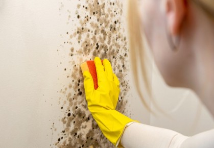 ������� ��� ���������: ��� �������� �������� ���������� �������� ������� � ����� � �������