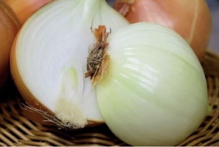 ����� ����� ��������� ��� � ������: �������� �����