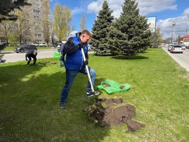 ���������� ����������� ��� ������ ���������� ���������