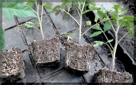 ��� ��������� ���������� ������� ������� ��� �������� �������������