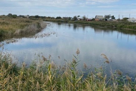 � ������������ ������ �������� �������������� 12-������������� ������� ����� ���� ������