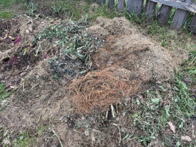 ����������� ������ ������� ��������� ��������