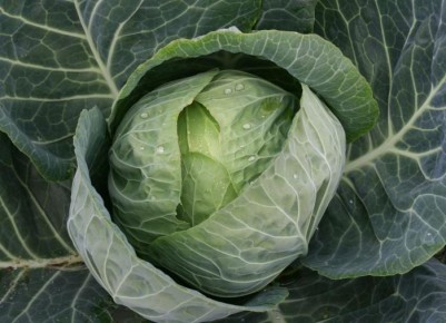 ������� �� �������: ��� �������� �������� � ��������� �������� ������