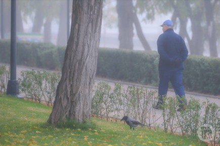 ����������� ��������� ����������� � ������������� �������